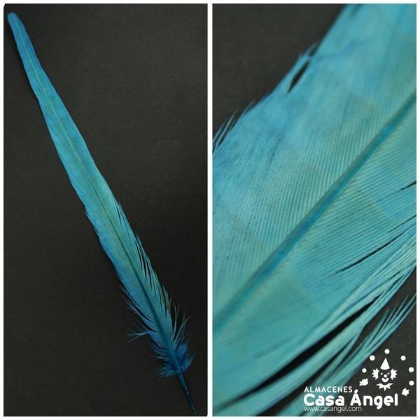 PLUMA DE FAISÁN NATURAL TINTADA TURQUESA 33cm