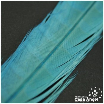 PLUMA DE FAISÁN NATURAL TINTADA TURQUESA 33cm