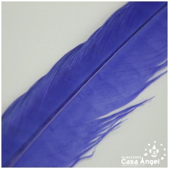 PLUMA DE FAISÁN NATURAL TINTADA AZUL 33cm