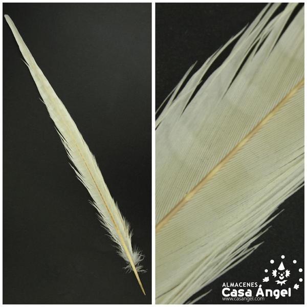 PLUMA ESPADA DE FAISÁN NATURAL TINTADA BLANCO CRUDO 43cm