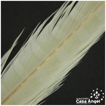 PLUMA ESPADA DE FAISÁN NATURAL TINTADA BLANCO CRUDO 43cm