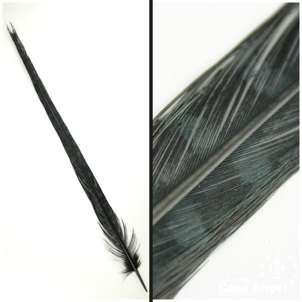PLUMA ESPADA DE FAISÁN NATURAL TINTADA NEGRA 43cm