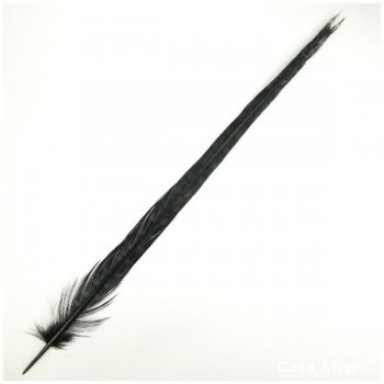PLUMA ESPADA DE FAISÁN NATURAL TINTADA NEGRA 43cm