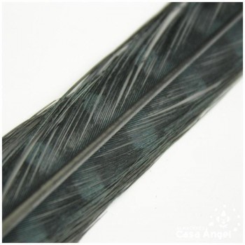 PLUMA ESPADA DE FAISÁN NATURAL TINTADA NEGRA 43cm