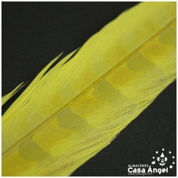 PLUMA ESPADA DE FAISÁN NATURAL TINTADA AMARILLO 43cm
