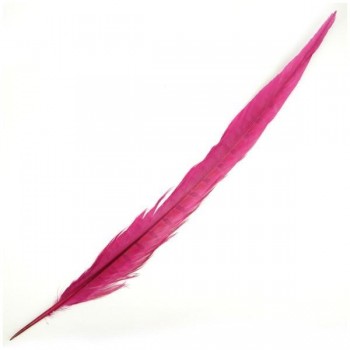 PLUMA ESPADA DE FAISÁN NATURAL TINTADA FUCSIA 43cm