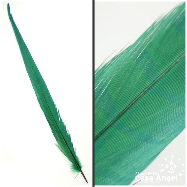 PLUMA ESPADA DE FAISÁN NATURAL TINTADA VERDE 43cm