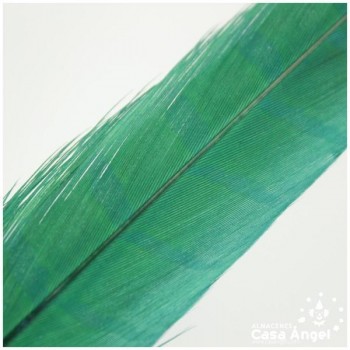 PLUMA ESPADA DE FAISÁN NATURAL TINTADA VERDE 43cm