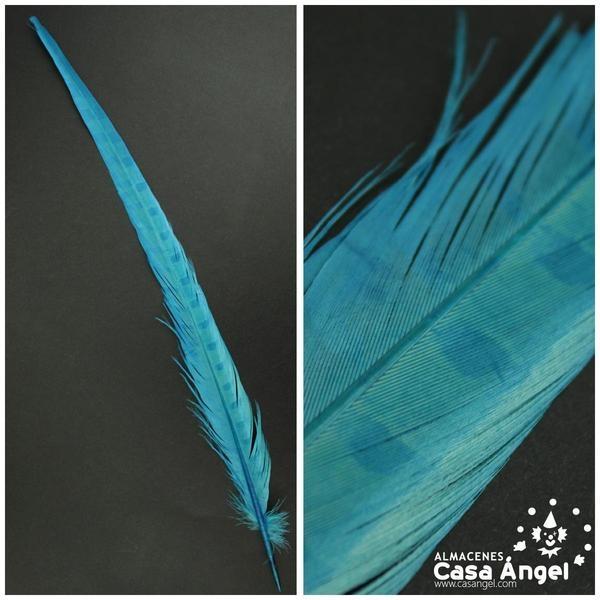 PLUMA ESPADA DE FAISÁN NATURAL TINTADA TURQUESA 43cm