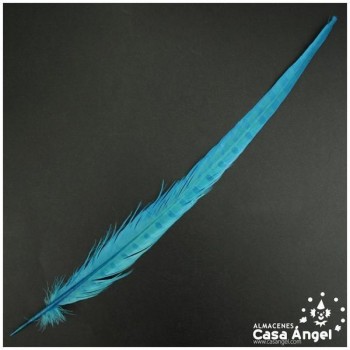 PLUMA ESPADA DE FAISÁN NATURAL TINTADA TURQUESA 43cm