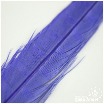 PLUMA ESPADA DE FAISÁN NATURAL TINTADA AZUL 43cm