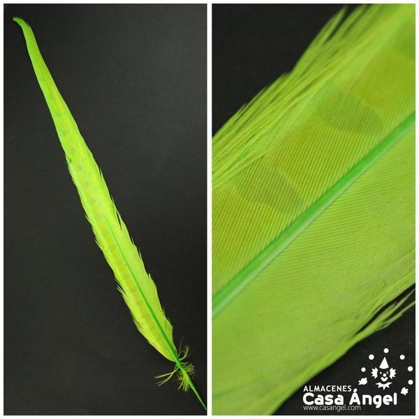 PLUMA ESPADA DE FAISÁN NATURAL TINTADA VERDE LIMA 43cm
