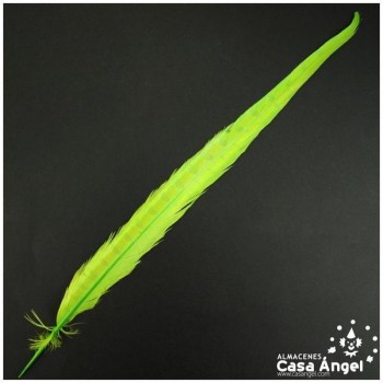 PLUMA ESPADA DE FAISÁN NATURAL TINTADA VERDE LIMA 43cm