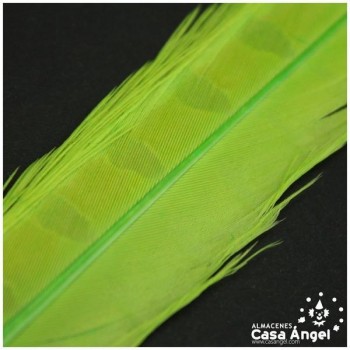 PLUMA ESPADA DE FAISÁN NATURAL TINTADA VERDE LIMA 43cm