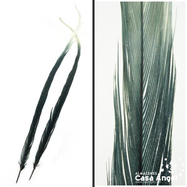 PLUMA DE FAISÁN TINTADA NEGRA CON PUNTA BLANCA 58cm