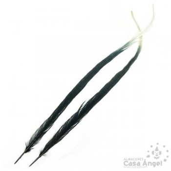 PLUMA DE FAISÁN TINTADA NEGRA CON PUNTA BLANCA 58cm