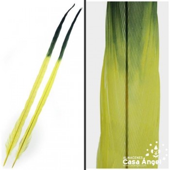 PLUMA DE FAISÁN TINTADA AMARILLA CON PUNTA NEGRA 58cm