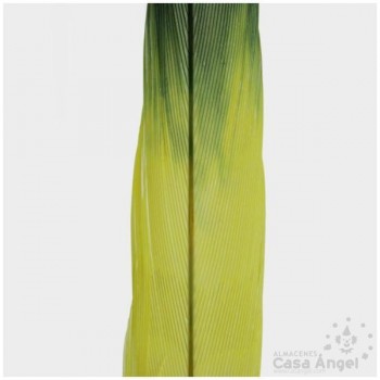 PLUMA DE FAISÁN TINTADA AMARILLA CON PUNTA NEGRA 58cm