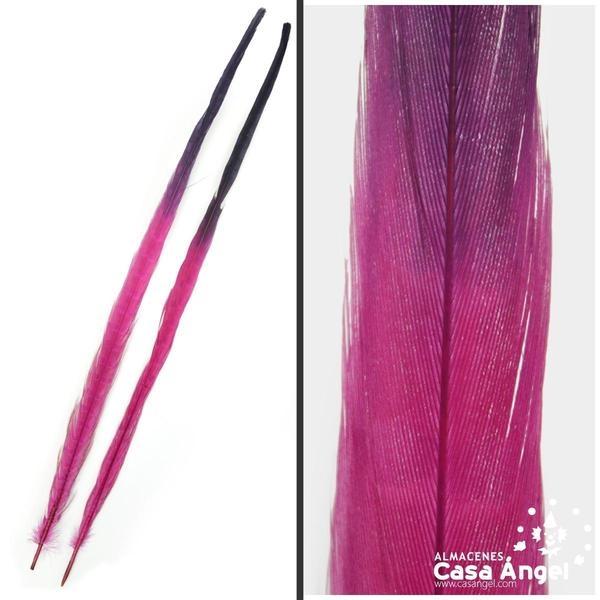 PLUMA DE FAISÁN TINTADA FUCSIA CON PUNTA NEGRA 58cm