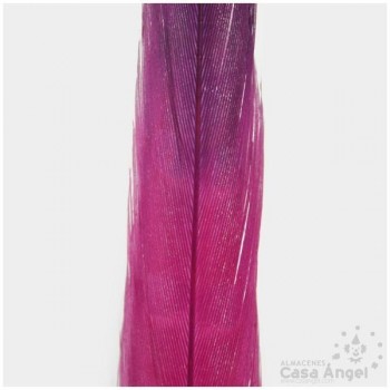 PLUMA DE FAISÁN TINTADA FUCSIA CON PUNTA NEGRA 58cm