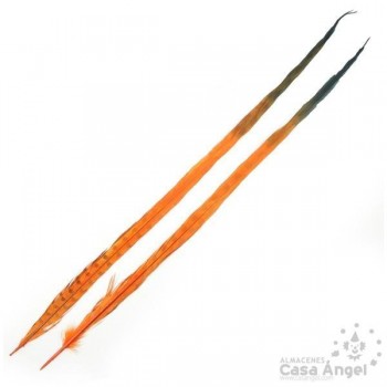 PLUMA DE FAISÁN TINTADA NARANJA CON PUNTA NEGRA 58cm