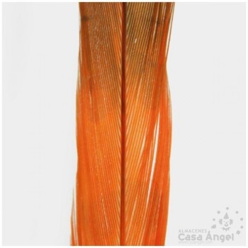 PLUMA DE FAISÁN TINTADA NARANJA CON PUNTA NEGRA 58cm