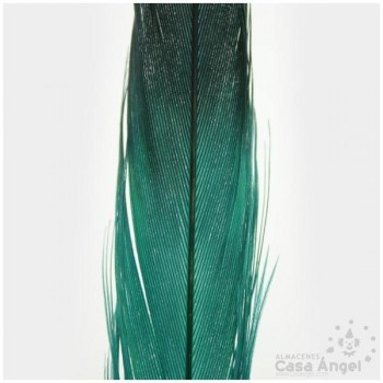 PLUMA DE FAISÁN TINTADA VERDE CON PUNTA NEGRA 58cm