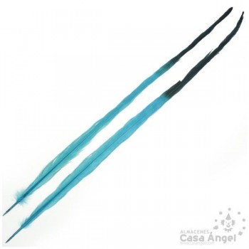 PLUMA DE FAISÁN TINTADA TURQUESA CON PUNTA NEGRA 58cm