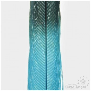 PLUMA DE FAISÁN TINTADA TURQUESA CON PUNTA NEGRA 58cm