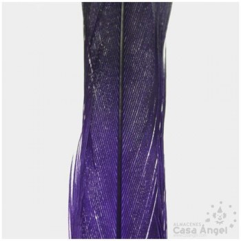 PLUMA DE FAISÁN TINTADA MORADA CON PUNTA NEGRA 58cm
