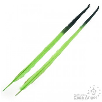 PLUMA DE FAISÁN TINTADA LIMA CON PUNTA NEGRA 58cm