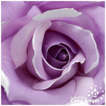 ROSA MARAVILLA CON LUNARES 16cm