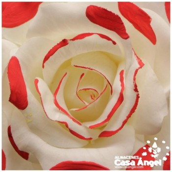 ROSA MARAVILLA CON LUNARES 16cm
