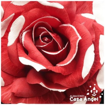 ROSA MARAVILLA CON LUNARES 16cm