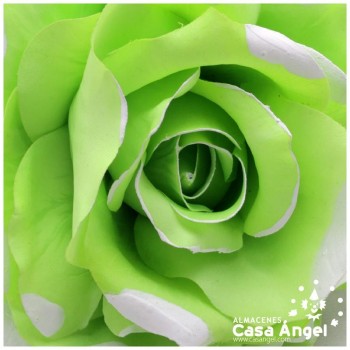 ROSA MARAVILLA CON LUNARES 16cm