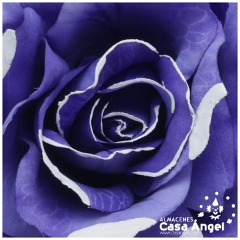 ROSA MARAVILLA CON LUNARES 16cm