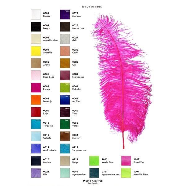 PLUMA AVESTRUZ ESPADONA TEÑIDA 50cm