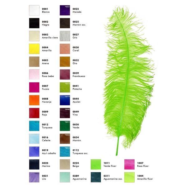 PLUMA AVESTRUZ HEMBRA 65cm