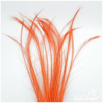 PLUMAS DE PAVO REAL ESPADA NARANJA 80cm