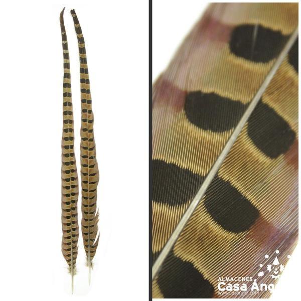 PLUMA DE FAISÁN LABRADO NATURAL 60cm - NATURAL