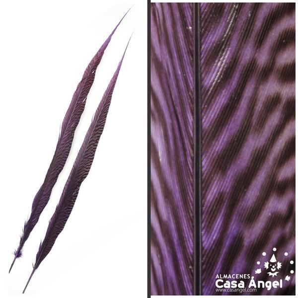 PLUMA TINTADA MORADA DE FAISÁN DORADO 50cm