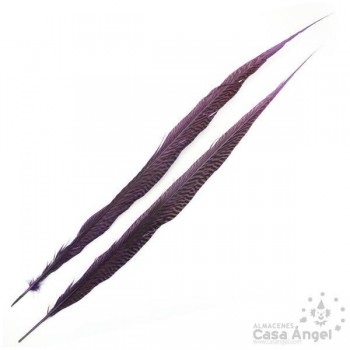 PLUMA TINTADA MORADA DE FAISÁN DORADO 50cm