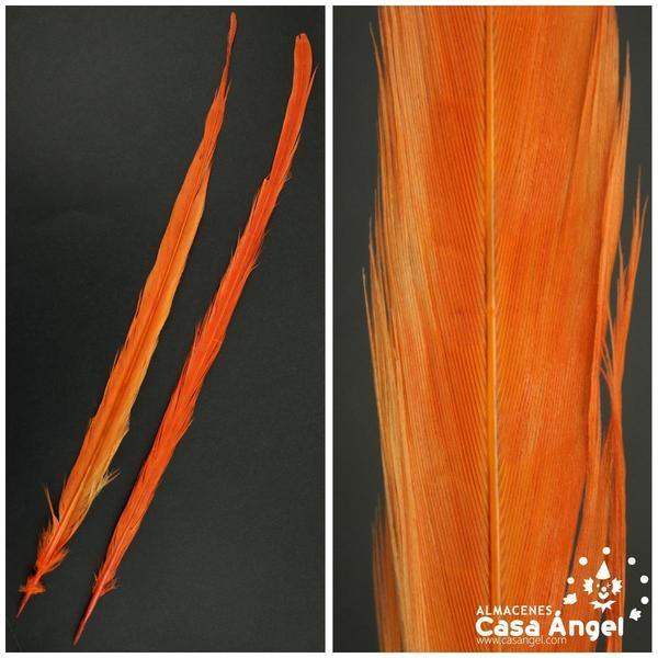 PLUMA FLECHA COLA DE FAISÁN TEÑIDA NARANJA BOLSA 2uds 40cm