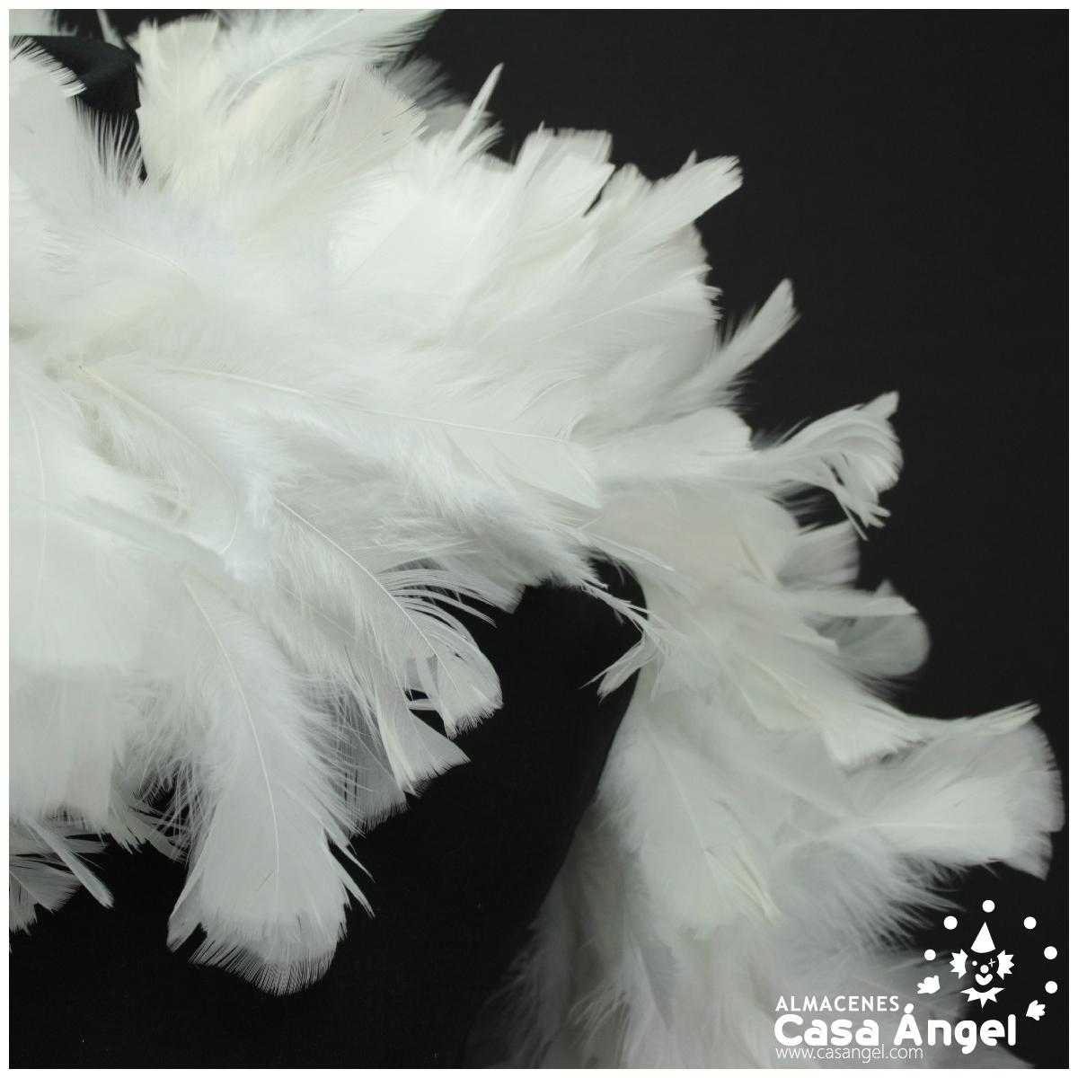 Boa de cola de gallo blanco - PLUMASEVILLA