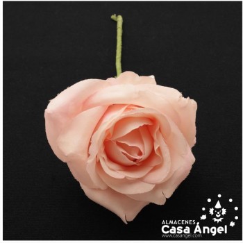 CAPULLO DE ROSA TEÑIDO CON TALLO DE ALAMBRE