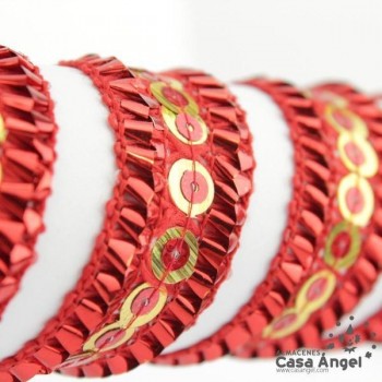 PASAMANERÍA DOBLE LENTEJUELA RIBETE RELIEVE 2cm