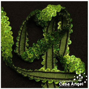 CINTA ELÁSTICA DE LENTEJUELAS 2 HILERAS 2cm
