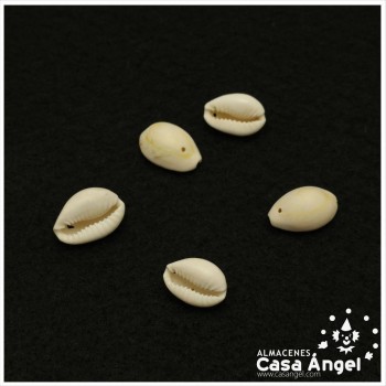 CONCHA TIPO PINZA PERFORADA MARFIL 2cm BOLSA 5uds