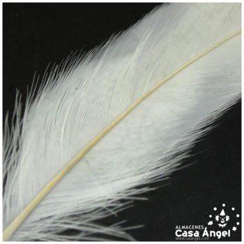 PLUMAS BLANCAS DE COLA DE GALLO 30-35cm BOLSA DE 25uds