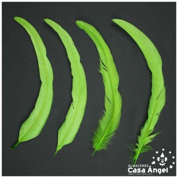 PLUMAS VERDE PISTACHO DE COLA DE GALLO 30-35cm BOLSA DE 25uds